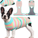 Попона для відновлення собак Wan Talk Recovery Suit, Turquoise Stripes, M, 35-42 см, 49-60 см, 28-34 см