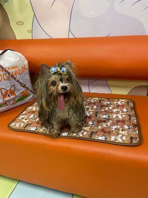 Многоразовая пеленка для собак Pelushka Happy Paw Pelushka