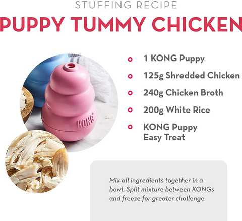 Kong easy clearance treat puppy