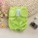 Багаторазовий підгузок для сук Derby KS001 Green, XS, 25-35 см