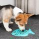 Силиконовый коврик для лизания для собак Derby Fish Shaped Dog Lick Mat, Голубой, 24,5х19 см
