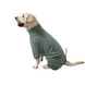 Комбінезон для собак KOOGAL Stretchable Turtleneck Jumpsuit, Green Gray, 2XL, 40 см, 60 см, 39 см
