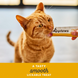 Лакомство для кошек Applaws Chicken Creamy Lickable Sachets, курица, 4х15 г