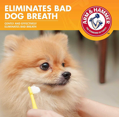 Ензимна зубна паста для собак Arm & Hammer Fresh Breath з ванільно-імбирним смаком (термін до 10.2024) Arm&Hammer
