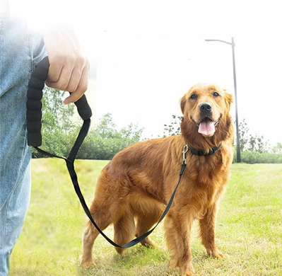 Поводок для собак Derby Pet Long Leash with Handle с ручкой Derby