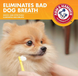 Энзимная зубная паста для собак Arm & Hammer Fresh Breath с ванильно-имбирным вкусом (срок до 10.2024), 67,5 г