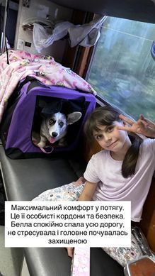 Мягкая клетка для собак Bestopet (Люпосанчик) Portable Soft-Sided Dog Crate BS-SC-006 Люпосанчик