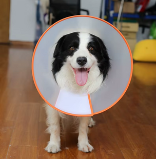Ветеринарний комір для собак і котів Derby Adjustable Pet Recovery E-collar Derby
