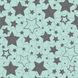 Многоразовая пеленка Pelushka Mint Stars, 60х60 см