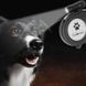 Сверхмощный выдвижной поводок для собак SCENEREAL с фонариком и диспенсером для пакетов, Черный