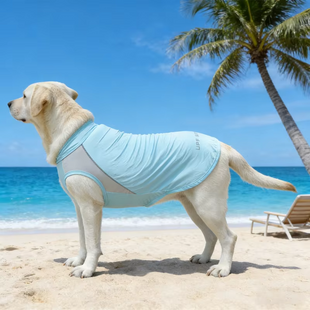 Літній сонцезахисний одяг для собак Derby Summer Sun-protective Dog Clothing, Turquoise Derby