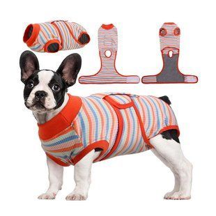 Восстановительная попона для собак Wan Talk Recovery Suit, Red Stripes Wan talk