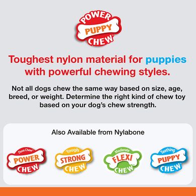 Жувальна ігрушка для прорізування зубів для цуценят Nylabone Puppy Teething Chew Toys Nylabone