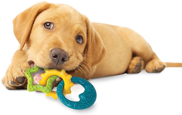 Жувальна ігрушка для прорізування зубів для цуценят Nylabone Puppy Teething Chew Toys Nylabone