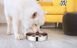 Металева миска для повільного харчування собак Derby Stainless Steel Slow Feeder Dog Bowl