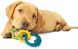 Жевательная игрушка для прорезывания зубов для щенков Nylabone Puppy Teething Chew Toys