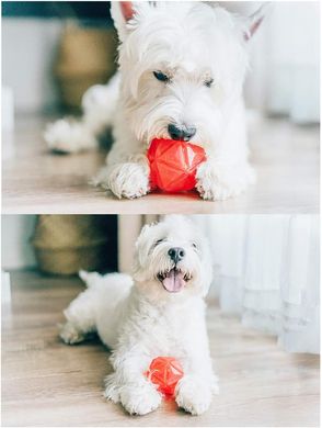 Светящийся мячик для собак Diamond Shape Elastic Squeaky Dog Ball с пищалкой Derby