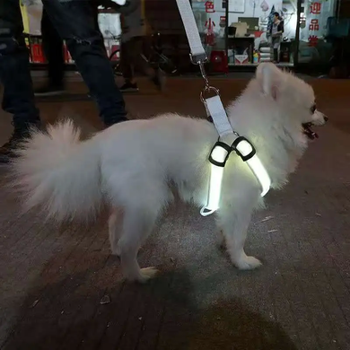 Світлодіодна шлея для собак, що працює від батарейок (не входять в комплект) Derby