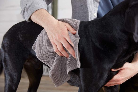 Увлажняющий шампунь без смывания для собак The Spruce Waterless Pet Wash с ароматом лаванды