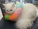 М'який комір для котів і невеликих собак SH PET Rainbow, L, 17-29 см