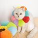 М'який комір для котів і невеликих собак SH PET Rainbow, L, 17-29 см
