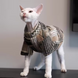 Теплый свитер для котов PawsMundo Green, XL, 38 см, 39 см, 22 см