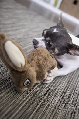 Жесткая плюшевая игрушка для собак goDog Wildlife Rabbit goDog