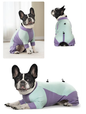 Комбинезон для собак LOVEPET Velvet Fleece Jumpsuit, Purple Mint Green