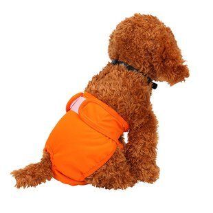 Багаторазовий підгузок для сук Derby KS001 Orange Derby