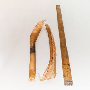 Шкіра яловича 60 см, 1 шт.