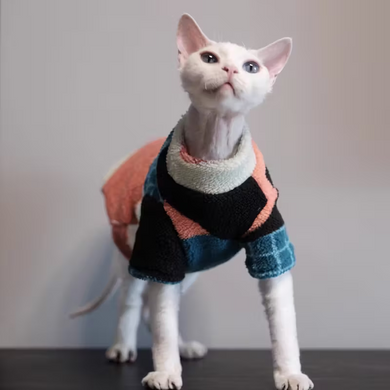 Теплий светр для котів і собак PawsMundo Orange
