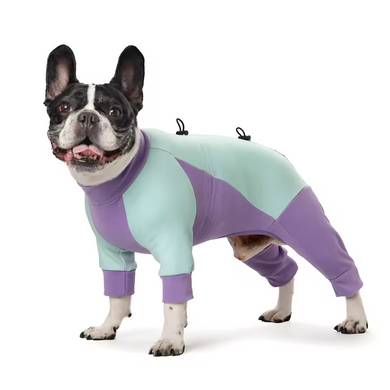 Комбинезон для собак LOVEPET Velvet Fleece Jumpsuit, Purple Mint Green