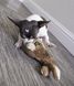 Жорстка плюшева іграшка для собак goDog Wildlife Rabbit