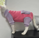 Флисовый комбинезон для кошек Purple Pink, XL, 43 см, 39 см, 30 см