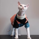 Теплий светр для котів і собак PawsMundo Orange, 2XL, 41 см, 43 см, 24 см