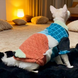 Теплий светр для котів і собак PawsMundo Orange, 2XL, 41 см, 43 см, 24 см