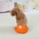 Багаторазовий підгузок для сук Derby KS001 Orange, S, 30-40 см