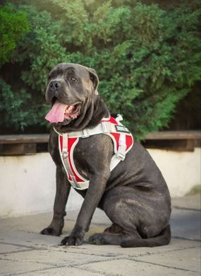 Нейлоновая водонепроницаемая регулируемая шлея ServiceDog для собак ServiceDog