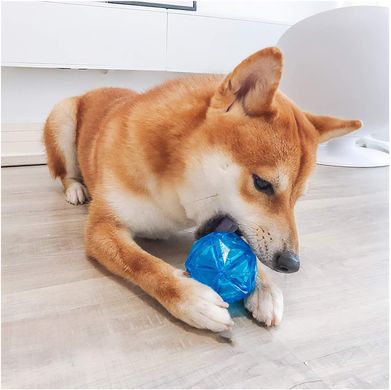 Светящийся мячик для собак Diamond Shape Elastic Squeaky Dog Ball с пищалкой Derby