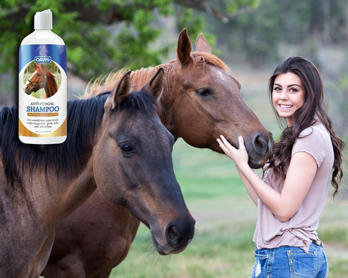 Противогрибковый шампунь для лошадей DAVIS Anti-Fungal Shampoo Davis