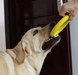 Игрушка-кольцо для собак Derby Rubber Dog Ring Toy, Оранжевый, Small