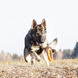 Игрушка-кольцо для собак Derby Rubber Dog Ring Toy, Оранжевый, Small