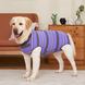 Послеоперационный боди для собак LOVEPET Purple grey stripe, XL, 45 см, 60 см, 40 см
