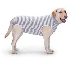 Послеоперационный боди для собак LOVEPET Grey white stripe