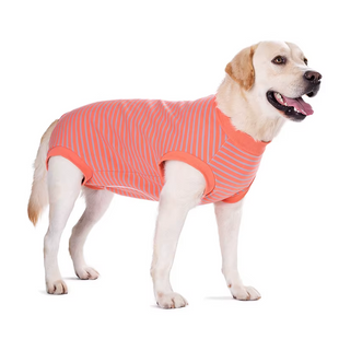 Восстановительная попона для собак Wan Talk Recovery Suit, Coral Stripes Wan talk
