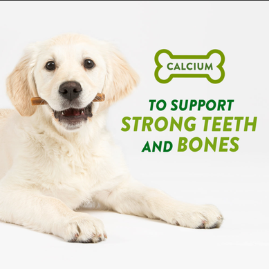 Натуральні ласощі для зубів цуценят WHIMZEES Puppy Dental Care Dog Treat WHIMZEES