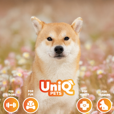 Лакомство для собак UniQ PETS Вяленое куриное м'ясо UniQ PETS