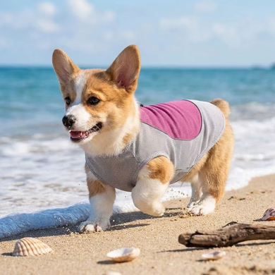 Летняя охлаждающая одежда для собак Derby Summer Dog Cooling Clothes, Grey-Pink Derby