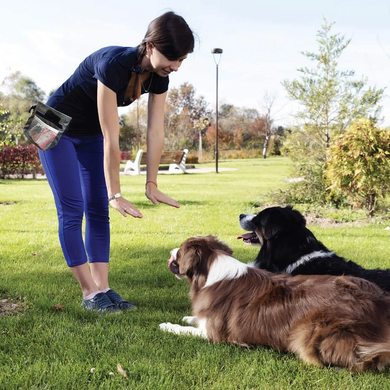 Сумка для вигулу і тренувань собак Voyager Pet Nylon Waterproof Dog Treat Training Pouch grey Voyager Pet