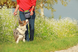 Сумка для выгула и тренировок собак Voyager Pet Nylon Waterproof Dog Treat Training Pouch grey